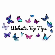 Website Search Tips